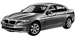 BMW F10 B207D Fault Code